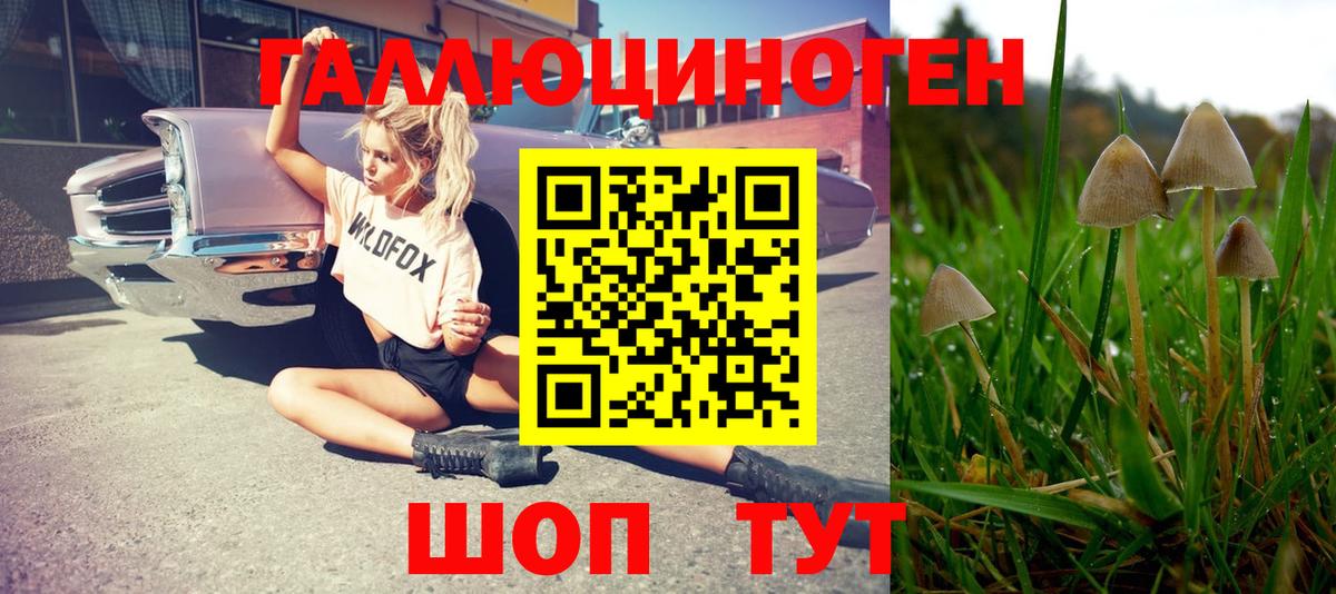 Галлюциногенные грибы ЛСД Татарск