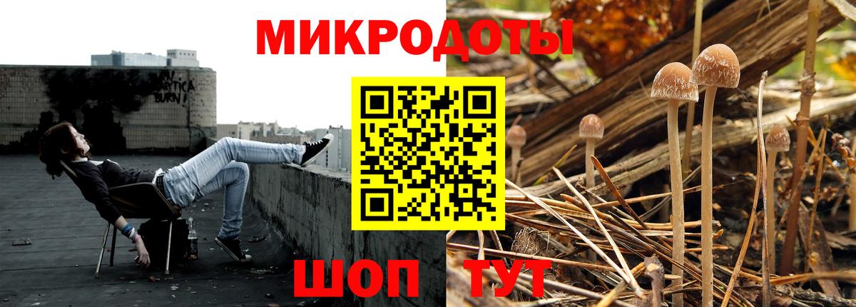 Татарск  Галлюциногенные грибы мицелий  Псилоцибиновые грибы ЛСД  Вход с VPN 
